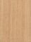 American Chestnut (Castanea dentata)