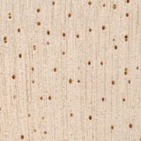Balsa (endgrain 10x)