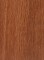 Burma Padauk (Pterocarpus macrocarpus)