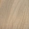 Camphor (Cinnamomum camphora)