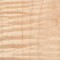 Curly Maple (Acer spp.)