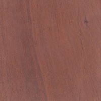 Jarrah (Eucalyptus marginata)