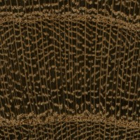 Laburnum (endgrain 10x)