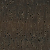 Leadwood (endgrain 10x)