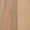 Parana Pine (Araucaria angustifolia)